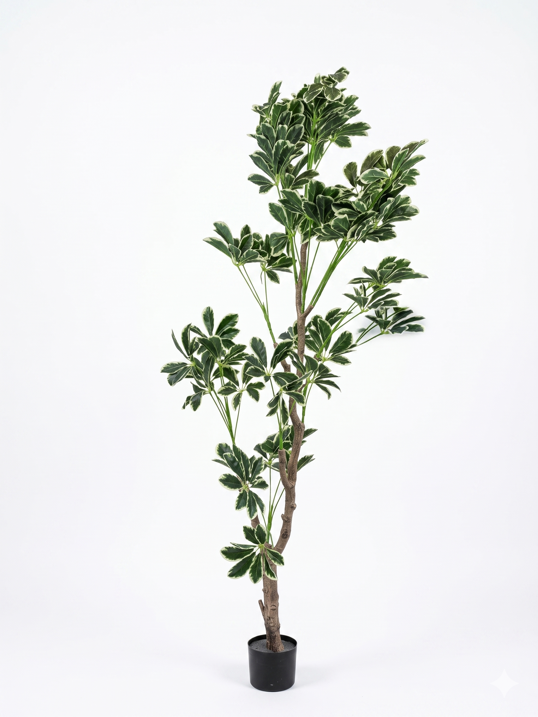 Plantă Artificială Premium 1.8m – Schefflera Variegată în Ghiveci | Decor Verde Elegant