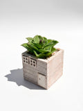 Plantă Decorativă Artificială în Ghiveci "Căsuță Rustică" – Decor Verde Minimalist Fără Întreținere